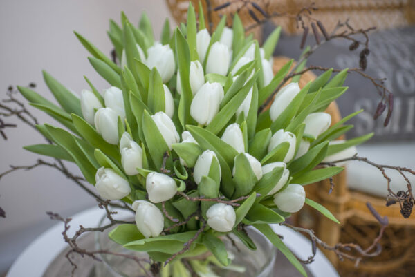 Bouquet of white tulips Royal Virgin