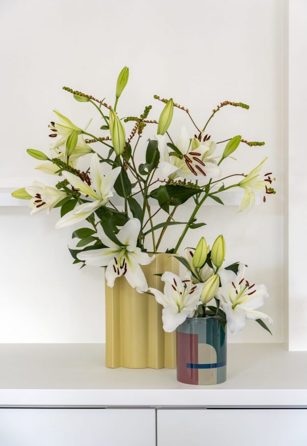 Lily Santander in 2 vases