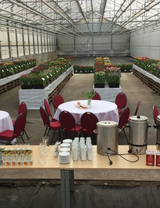 Tulip Trade Event 2016