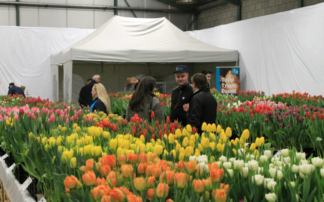 Tulip Trade Event 2018