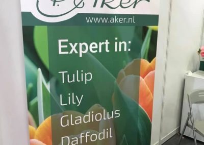 P. Aker en el Hortiflorexpo IPM en Shanghai. Nuestros representantes le cuentan todo sobre tulipanes, lirios, peonías, narcisos y gladiolos.