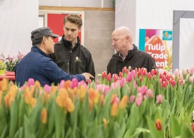 Tulip Trade Event 2019 P. Aker Zaden en Bloembollen