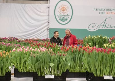 Tulip Trade Event 2019 P. Aker Zaden en Bloembollen