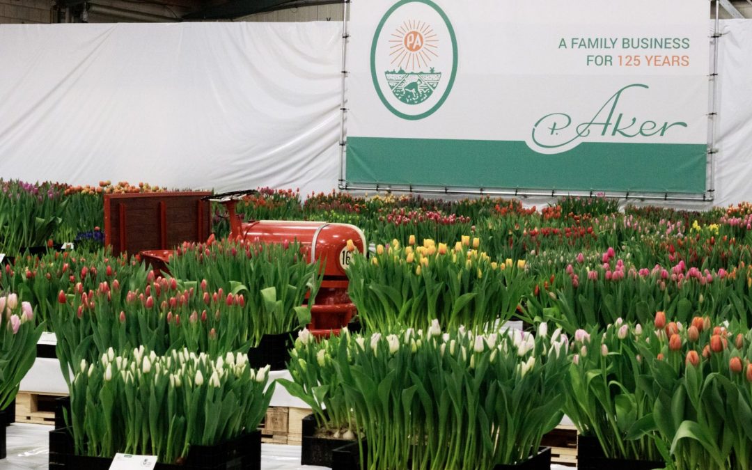 Tulip Trade Event 2019