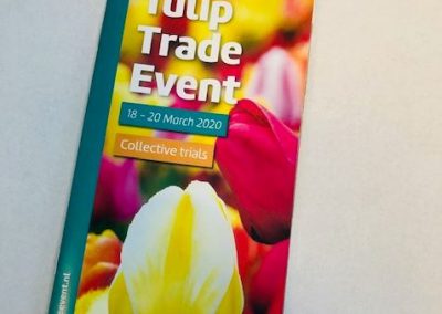 Tulipán amarillo y rojo en el folleto del Tulip Trade Event 2020