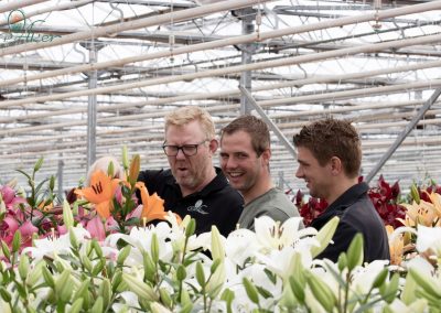 Three man looking at lilies in greenhouse