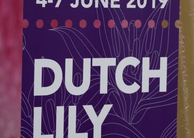 Dutch lily Days 2019