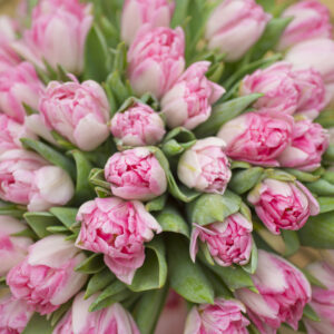 Bos roze tulpen Foxtrot