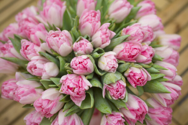 Bos roze tulpen Foxtrot