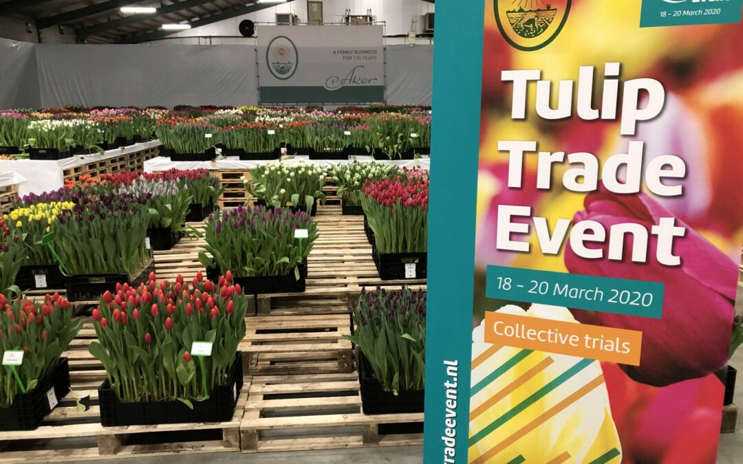 Tulip Trade Event 2020