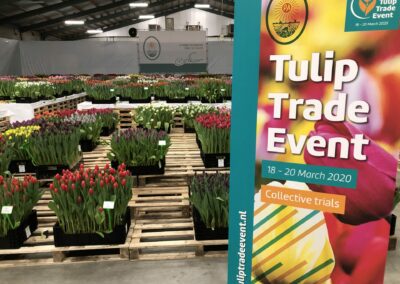 Tulip Trade Event 2020