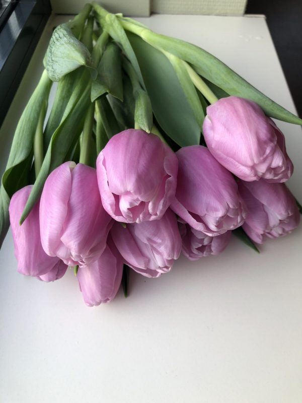 Bounch of pink tulips