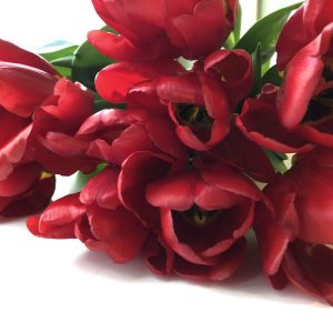 Bunch of red tulips