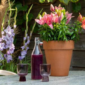 Pot with pink lilies and a bottle with glases on a table