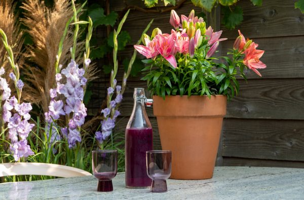 Pot with pink lilies and a bottle with glases on a table