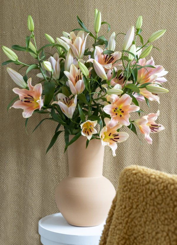 Vase full off salmon lilium