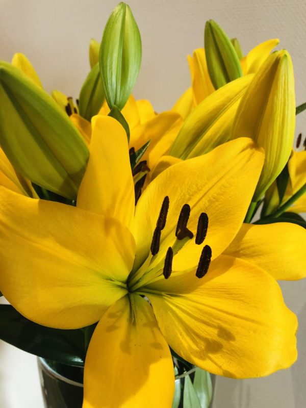 Bunch of yellow lilies