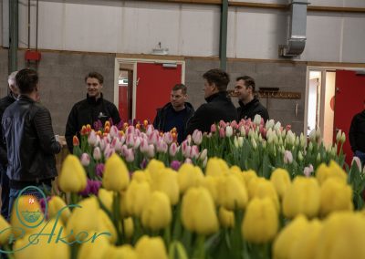 TULIP TRADE EVENT 2022