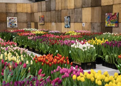 TULIP TRADE EVENT 2022