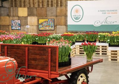 TULIP TRADE EVENT 2022