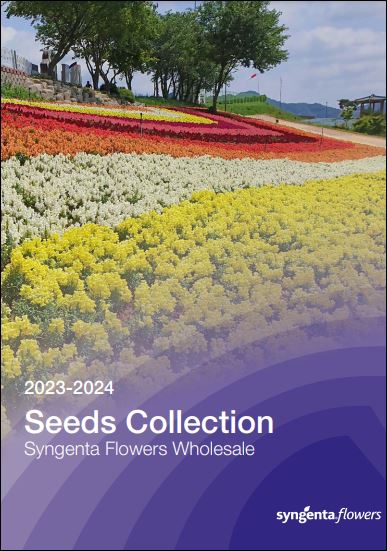 Syngenta Seed Collection 2023-2024