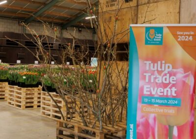 Tulip Trade Event 2024