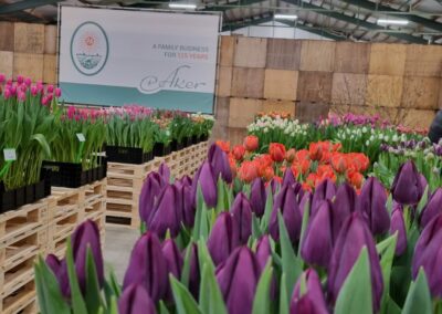 Tulip Trade Event 2024