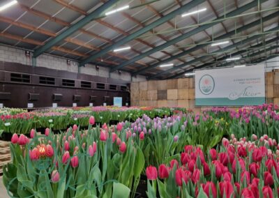 Tulip Trade Event 2024