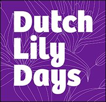 Dutch Lily Days logo