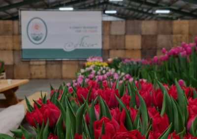 Tulip Trade Event 2024