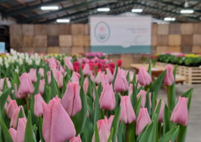 Tulip Trade Event 2024